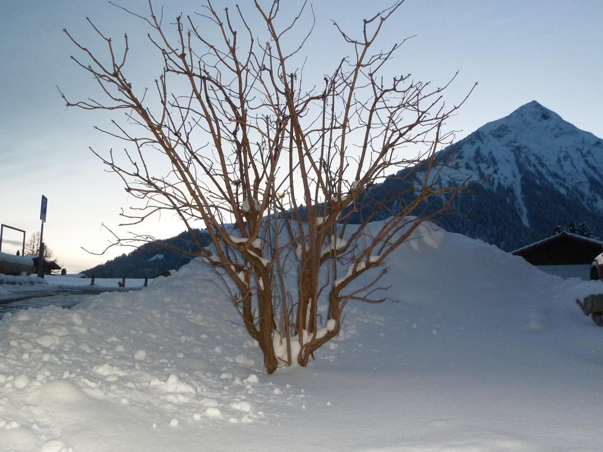 Hotel Restaurant Sunnmatt Aeschi Bei Spiez Buitenkant foto
