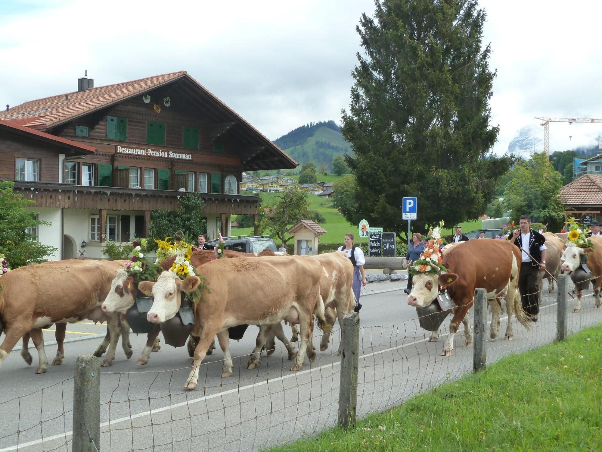 Hotel Restaurant Sunnmatt Aeschi Bei Spiez Buitenkant foto