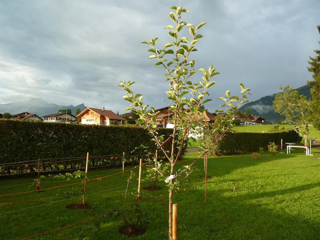 Hotel Restaurant Sunnmatt Aeschi Bei Spiez Buitenkant foto