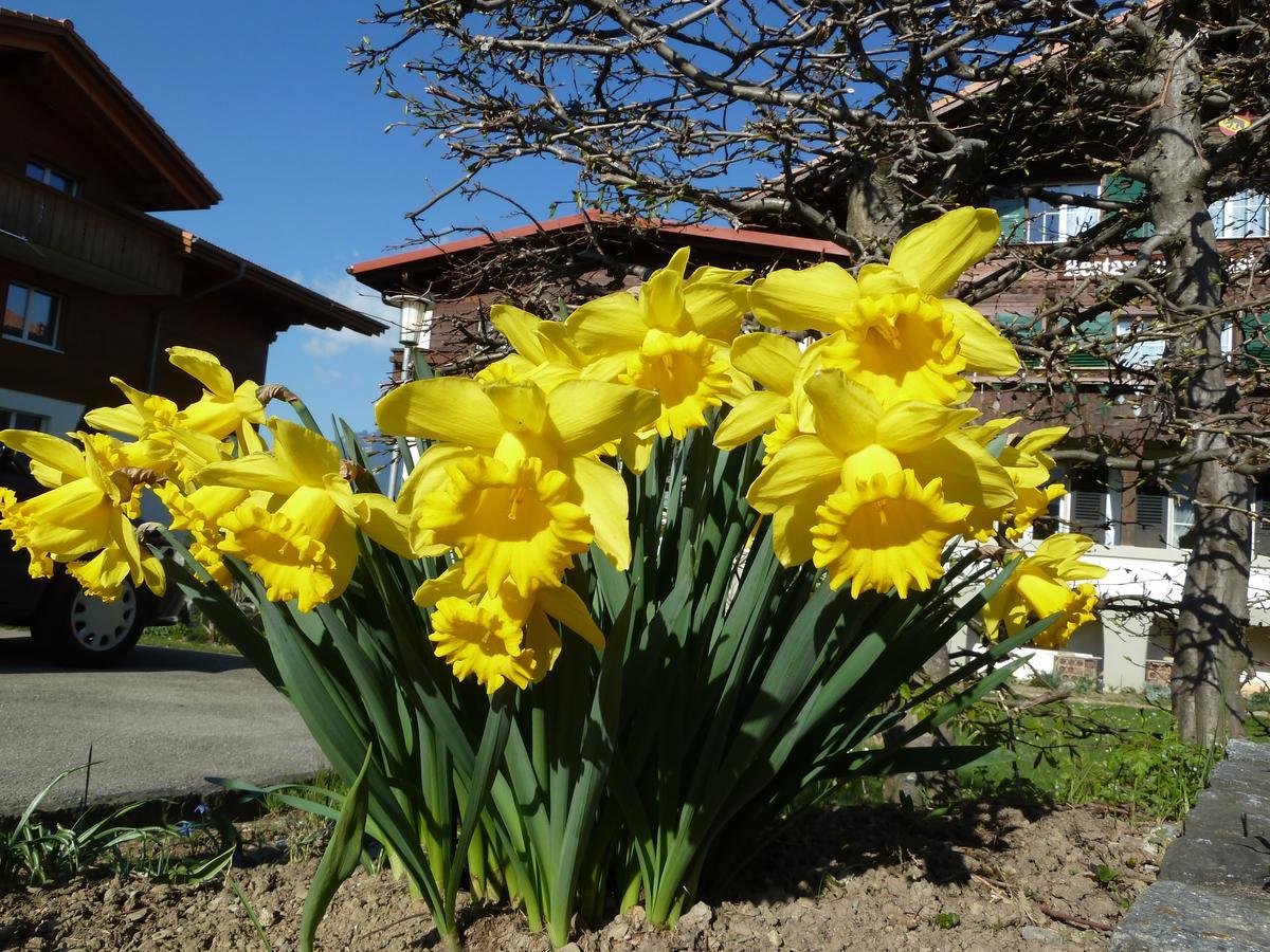 Hotel Restaurant Sunnmatt Aeschi Bei Spiez Buitenkant foto