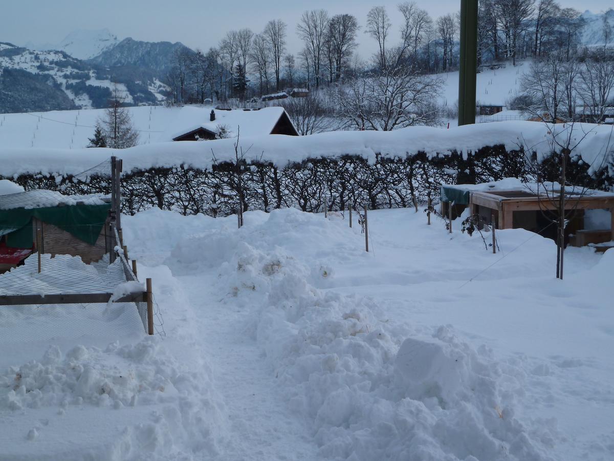 Hotel Restaurant Sunnmatt Aeschi Bei Spiez Buitenkant foto